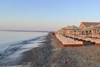 Egyptian man drowns after diving into water for phone
