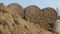 Food security cttee to be reconvened amid fodder concerns