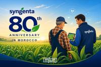 Syngenta at 80: Growing Alongside Moroccan Agriculture Through Long-Term Partnership