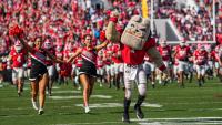 Georgia football gets new corporate logo sponsorship for 2026 season