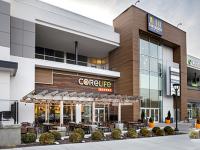 More Than Shopping: How Retail Design Has Evolved Beyond Conveyance of Goods, Become Amenitized