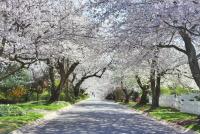 All 3 Best Neighborhoods To Buy A House Are In Western Mass.