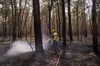 Could Alabama Be Headed To A Record Wildfire Year?