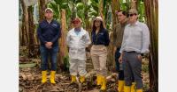 The IMF visits Ecuador to assess the banana sector's role in the country's economic and social stability