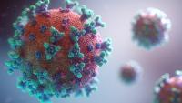 Health Officials Confirm Measles Case in Madison County