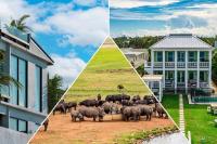 Become President Cyril Ramaphosa’s neighbour for R800 000