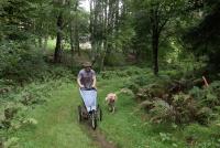 Hanover begins construction to make trail more accessible