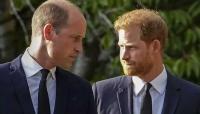 Prince William and Prince Harry's supporters react to new Diana book announcement