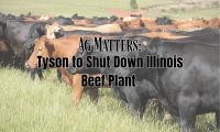 Ag Matters: Tyson to shut down Illinois beef plant