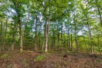 MDC and partners host forest and wildlife management workshop Sept. 12 in Portland