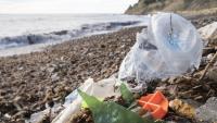 Action on plastic pollution: from start-up to acceleration