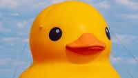 Community celebration brings giant duck, music and fireworks