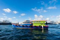 Maldives launches $39M fund for workers hit by state firm cuts