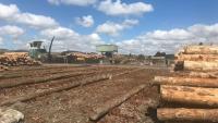 Potential future use for Winstone Pulp International’s Karioi Pulpmill emerges two years after closure