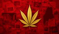 Chinese National Indicted for Money Laundering Conspiracy in Maryland Has Extensive Ties to Maine Cannabis
