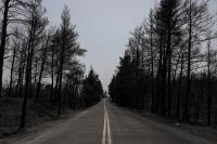 Northern Euboea Rebuilds Five Years After 2021 Fires