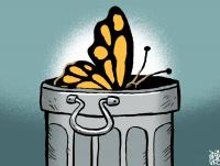 Our great Philippine political butterfly sanctuary