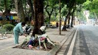 Vietnam exonerates ex-MP for fatal crash after online outrage 