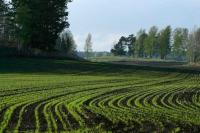 Climate change is heating up Georgia, farmers find ways to adapt