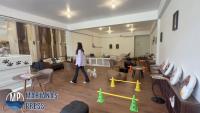 PawPawPet opens dog cafe on Saipan
