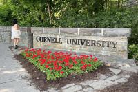Cornell Tells Pro-Palestine Students To Return to US or Lose Funding Despite Fears of ICE Detention