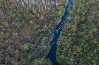 Okefenokee National Wildlife Refuge named UNESCO World Heritage Site