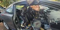 CPW reminds the public to lock cars after bear dies inside vehicle in Colorado Springs