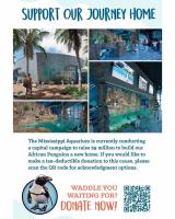Mississippi Aquarium launches $9 million campaign for new African penguin habitat