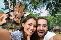 Zoo Brew 2026: Little Rock Zoo’s Popular Event Returns