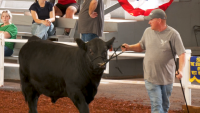 Agriculture remains at the heart of the State Fair