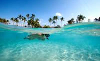 Is it safe to fly from Metro Vancouver to Hawaii now? Here's what to know