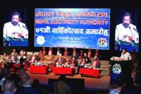 A Federal Electricity Architecture for Nepal