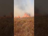 Agriculture ministry urges public to avoid open fires as more farmland burns in St Elizabeth