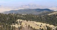 New roads may be coming to New Mexico’s national forests