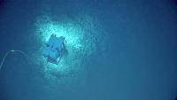 NOAA and partners to explore, map deep waters of American Samoa