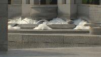 Judge denies federal effort to keep accused WWII Memorial vandal in jail before trial A federal judge denied efforts by U.S. Attorney's
