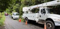 DOMLEC acknowledges customer frustration following prolonged outages