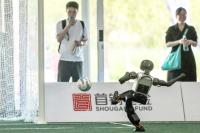 China’s robots face a commercial test