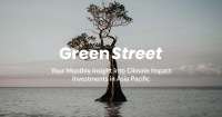 GreenStreet: The climate finance paradox
