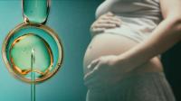 Kids from Cyprus IVF had wrong sperm donors