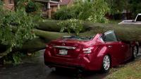 Severe storms knock trees on to cars in Milwaukee