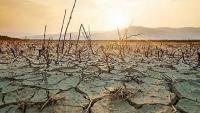 El Niño, Middle East crisis set to push food prices higher
