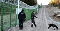 ‘It’s a mindset’: Unlike Ireland, Finland decided neutrality meant developing its military
