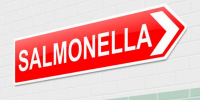 UK reports Salmonella outbreak with 200 sick and one dead