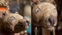 British collector snaps up rare Tasmanian tiger head for £62,000