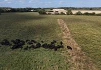 As Europe bakes, momentum grows for climate-resilient farming