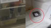 Patient's severed toe found with drinks and dips in Seoul nursing hospital fridge