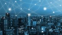The Crypto Mirage: What the Collapse of Key Coin Assets Says About Investment Fraud