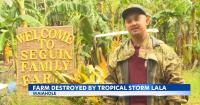 Seguin Family Farms face months of recovery after Hurricane Lala