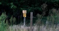 Delaware implements emergency deer hunting regulations amid CWD concerns